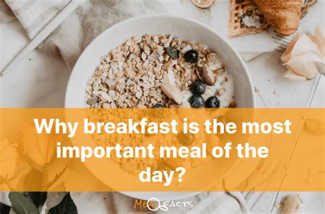 Why Is Breakfast So Important Meal Facts