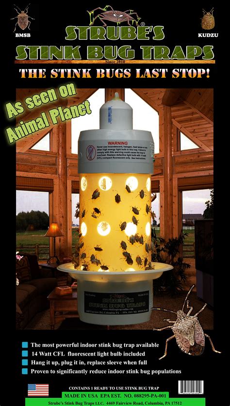 Stink Bug Traps Bug Trap Stink Bug Trap Stink Bugs