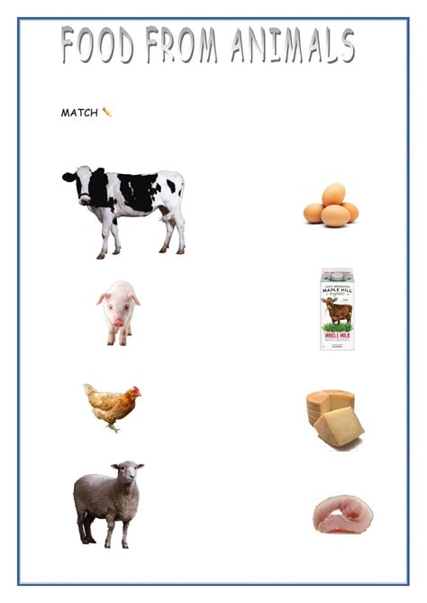 Food From Animals Interactive Worksheet