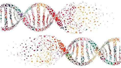 Here's some simple definitions for how human genetics works, including from cancer risk to eye color, human genetics determines who you are, based on the dna you inherit from your parents. What is a Chromosome? Simple definitions for understanding ...
