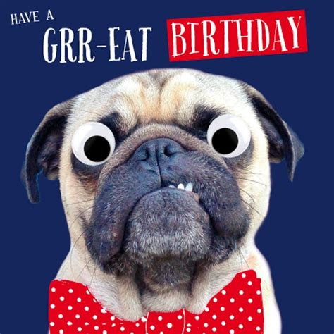 Funny Pug Birthday Card Available At Ilovepugscouk Post Worldwide