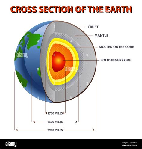 Contributor Enclosure Pronounce Earth Cross Section Model Gate Short