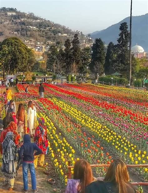 It lies on the route from kabul, the afghan capital, via the khyber pass to peshawar, pakistan. Beautiful Jalalabad Park Muzaffarabad AJK | Park, Dolores ...