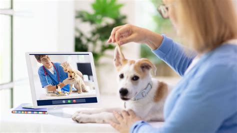 Video How Technology Will Impact Your Pets Healthcare Fast Company
