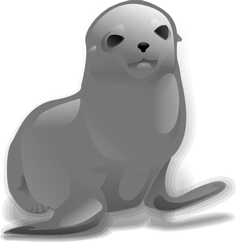 Download High Quality Seal Clipart Pup Transparent Png Images Art