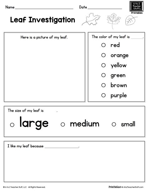 Leaf Investigation Printable Page Fall Kindergarten Fall Lessons
