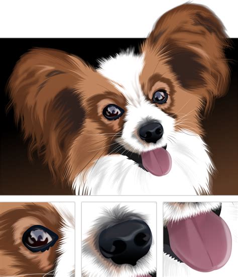 Papillon Butterly Dog Vector Drawing Picture Image Dog