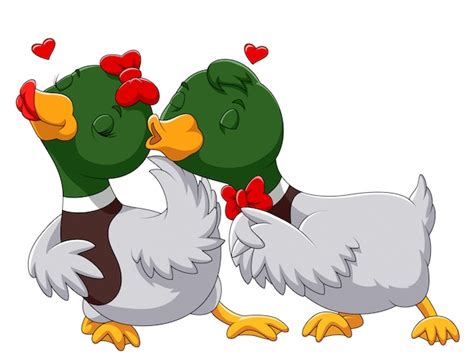 Premium Vector Couple Duck In Love And Kissing