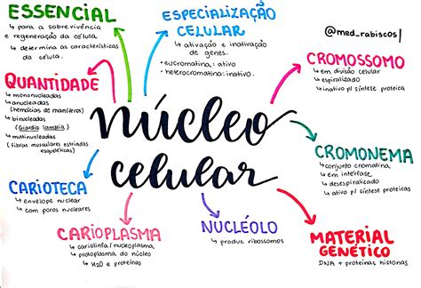 Arriba Imagen Mapa Mental Sobre Energia Nuclear Abzlocal Mx