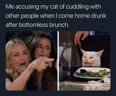 Woman Yelling At Cat Meme Refuses To Die And Were Not Complaining