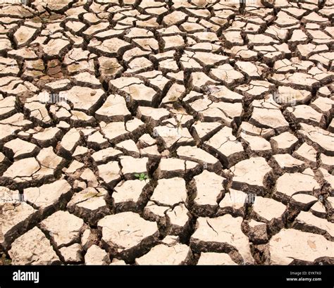 Dry Cracked Ground Natural Drought Texture Background Stock Photo Alamy