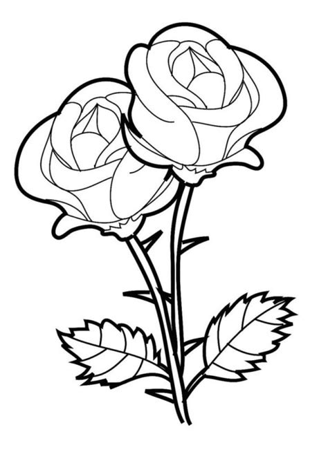 √ 2221 Sketsa Gambar Bunga Matahari Mawar Sakura