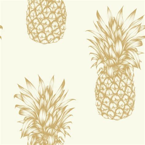 Rose Gold Pineapple Wallpapers Top Free Rose Gold Pineapple