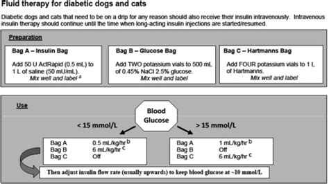 Insulin Dosing Chart For Cats Best Picture Of Chart Anyimageorg