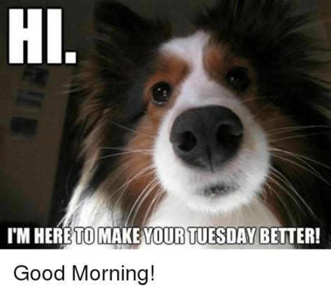 Good morning team terrific tuesday work meme meme on. CountryPami's Place | Page 23 | Vaping Underground Forums ...