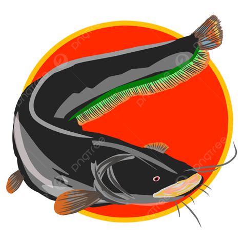 Black Catfish Illustration Vector Fish Catfish Animal Png And Vector