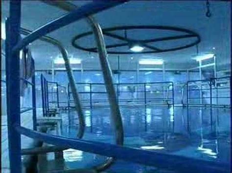Tous matériels de plongée, prix compétitifs, sav, école de plongée, vente en ligne. Plongée Paris Dollfin en fosse de plongée - YouTube