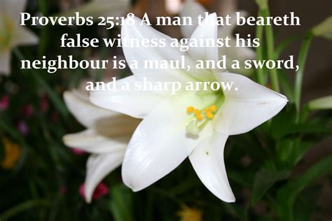 Proverbs 2518 A Man That Beareth False Witness Against His Neighbour