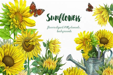 Sunflowers Clipart Yellow Flowers Sunflower 261042 Illustrations