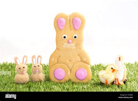 Easter Bunny Biscuit Stock Photo Alamy