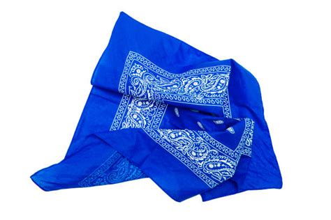 4800 Blue Bandana Stock Photos Pictures And Royalty Free Images Istock