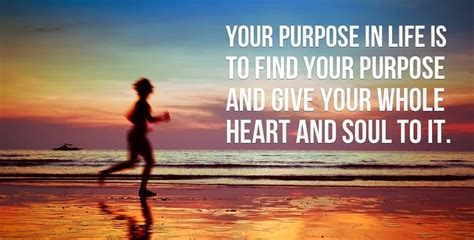 Discover Your Lifes Purpose In 6 Easy Steps Humans Are Free