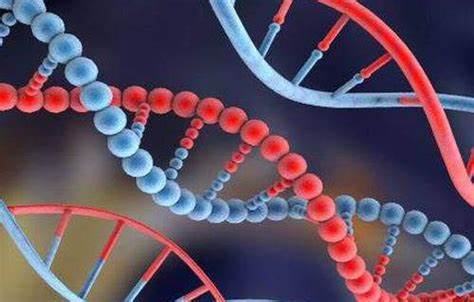كيف يتم تسلسل الحمض النووي؟