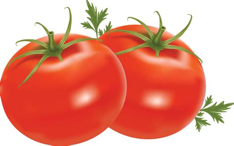 Download Tomato Png Image Picture Download Hq Png Image Freepngimg