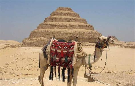 Excursion Dune Journée Au Musée Du Caire Et Des Pyramides Tour Egypt
