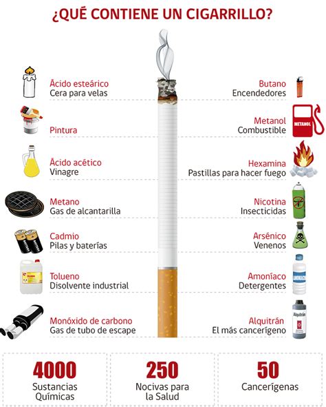 Componentes Del Cigarro Y Sus Efectos En Los Seres Vivos Hot Sex Picture