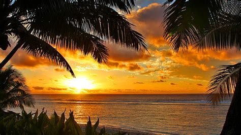 Tropical Sunset Wallpaper And Background Image 1366x768