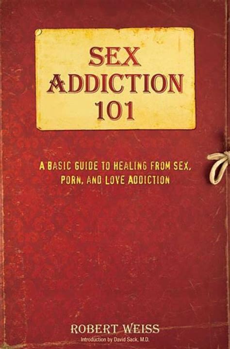sex addiction 101 a basic guide to healing [ing 0757318436] 14 95 12 step program books