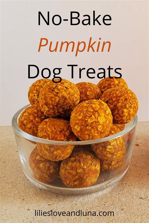 No Bake Peanut Butter And Pumpkin Dog Treats Pet Wise Tips