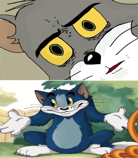 Tom And Jerry Confused But Okay With It Blank Template Imgflip