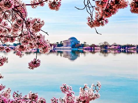 12 Best Places To Visit In April Usa Spring Break Destinations