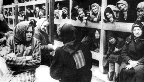 Survivants D Auschwitz Encore En Vie - J'ai été déportée à Auschwitz : la moindre imperfection conduisait à la