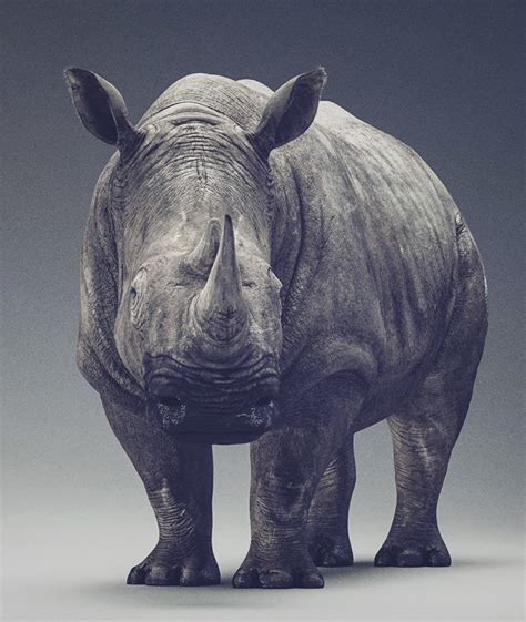 Rhino Sculpt Timelapse By Dmytro Teslenko Zbrushtuts