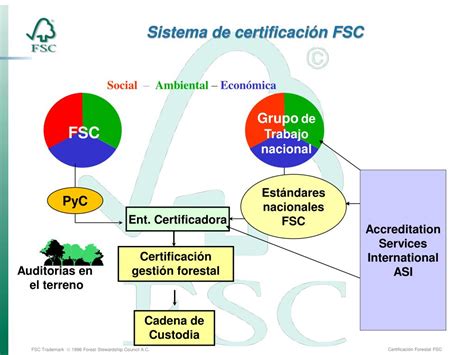 PPT Introducción a la Certificación Forestal FSC PowerPoint