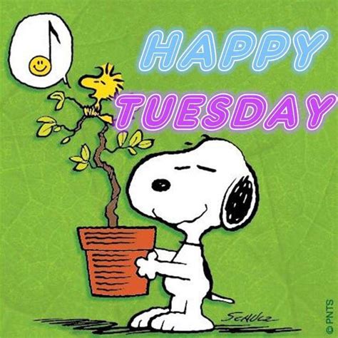 Snoopy Happy Tuesday Quote Pictures Photos And Images For Facebook