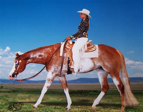 Buy Western Riding Show Apparel In Stock
