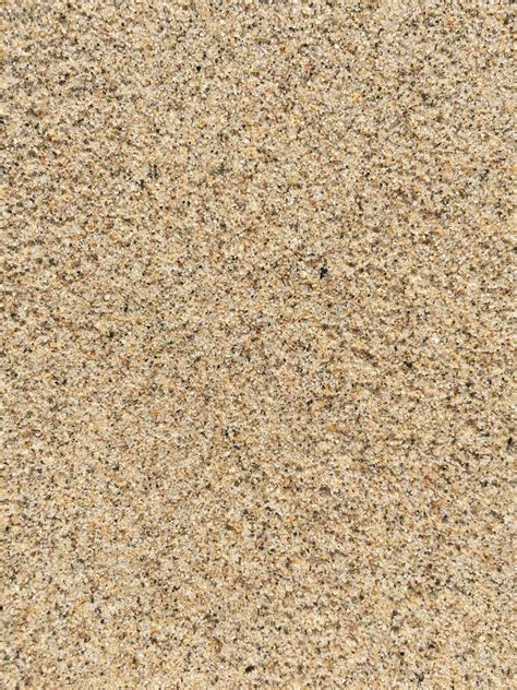 Noisy Speckled Wet Beach Sand Texture Free Textures