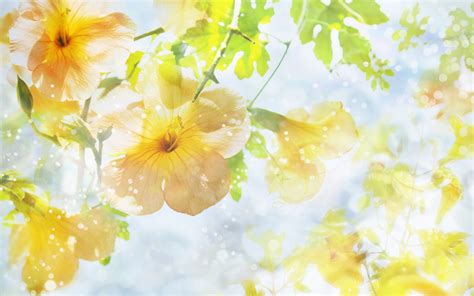 Beautiful Spring Spring Wallpaper 27865976 Fanpop