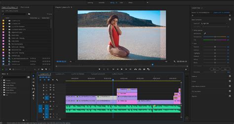 Here you can see all of the default workspaces, along with any custom ones you have created. 10 Best Video Editing Softwares for Mac