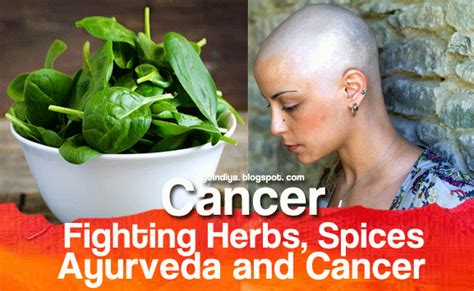7 Proven Cancer Fighting Herbs And Spices Ayurveda And Cancer