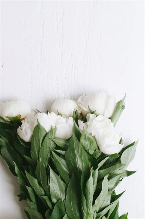 We did not find results for: Signs of Spring | Flowers | Pinterest | Spring, Flowers ...