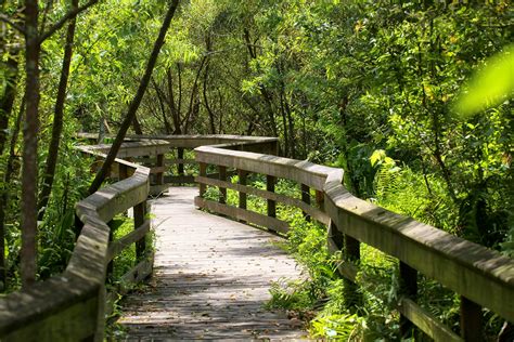 15 Best Botanical Gardens In Florida Road Affair