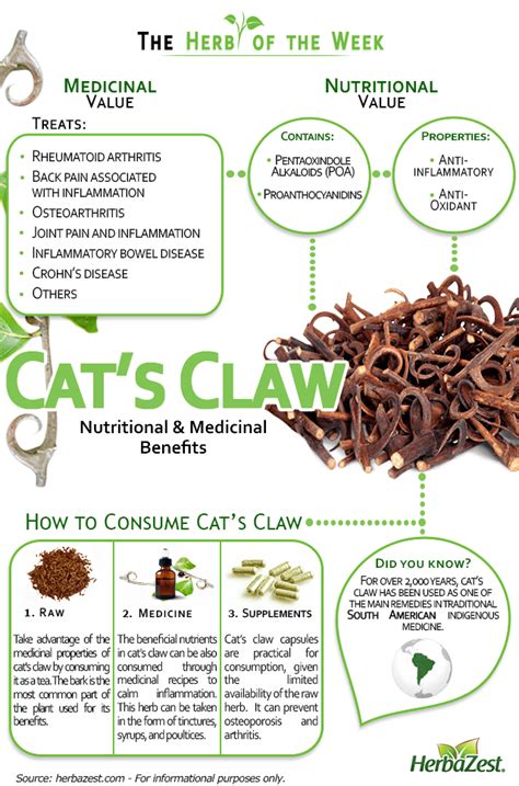 Infographics Cats Claw Herbalism Health And Nutrition Herbs