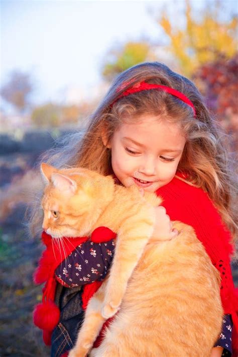 Little Girl Holding A Big Red Cat Stock Image Image Of Feline Friend