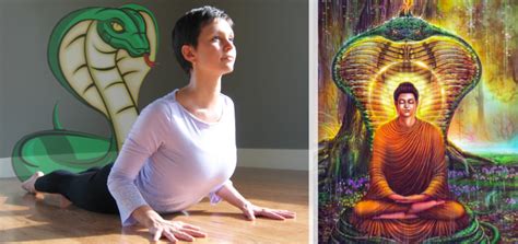 Yoga practice shows how to uplift it, and how to raise your consciousness upward, thereby raising your whole awareness to superconsciousness. The dance of the Royal Serpent - symbolism of the Cobra pose