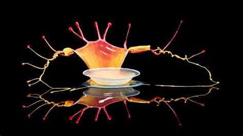 Markus Reugels Liquid Art And Water Drop Photography Mole Empire